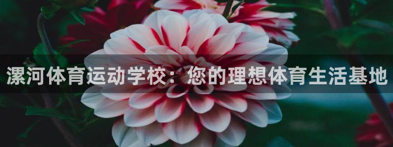 熊猫体育sports：漯河体育运动学校：您的理想体育生活基地