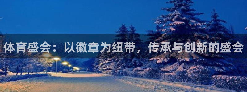 熊猫体育app官网入口：体育盛会：以徽章为纽带，传承与创新的盛会