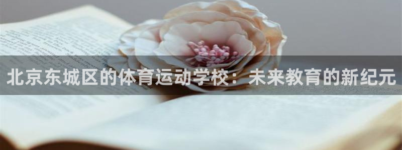 动感熊猫体育公园：北京东城区的体育运动学校：未来教育的新纪元