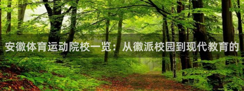 下载熊猫体育