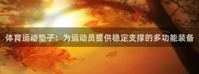 熊猫体育公园价格：体育运动垫子：为运动员提供稳定支撑的多功能装备