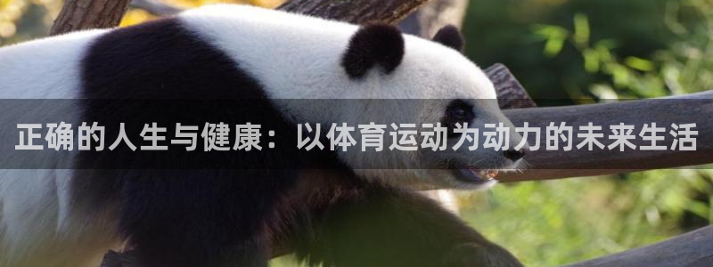 181熊猫体育