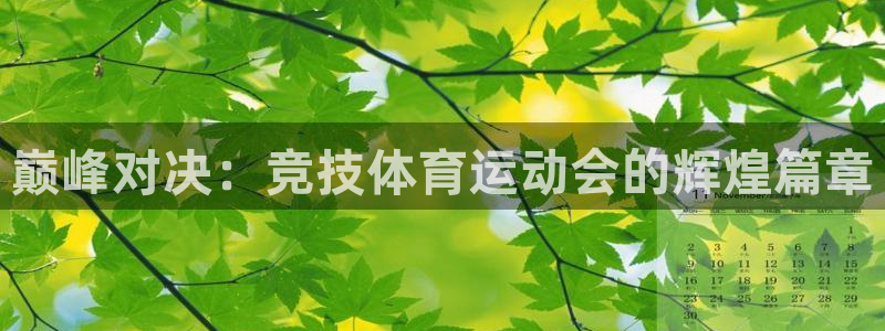 熊猫体育app下载安装：巅峰对决：竞技体育运动会的辉煌篇章