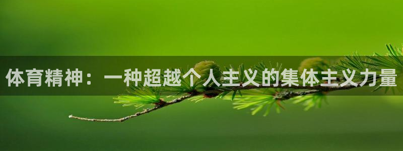 熊猫体育手机版：体育精神：一种超越个人主义的集体主义力量