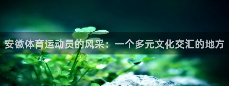 成都金熊猫体育：安徽体育运动员的风采：一个多元文化交汇的地方