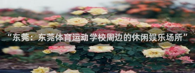 熊猫体育app官方下载最新版：“东莞：东莞体育运动学校周边的休闲娱乐场所”