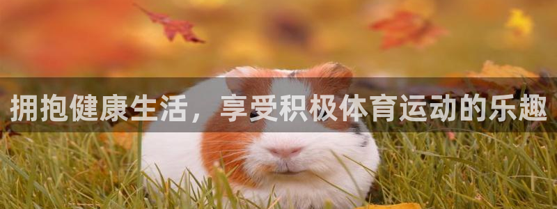 熊猫体育app下载安装：拥抱健康生活，享受积极体育运动的乐趣