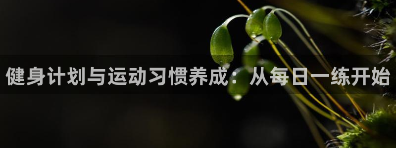 熊猫体育官网首页入口：健身计划与运动习惯养成：从每日一练开始