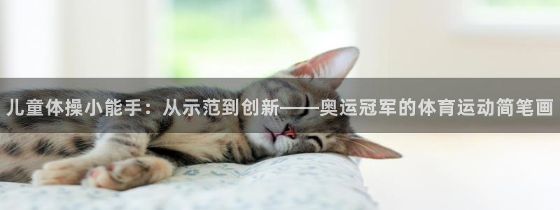 下载熊猫体育：儿童体操小能手：从示范到创新——奥运冠军的体育运动简笔画