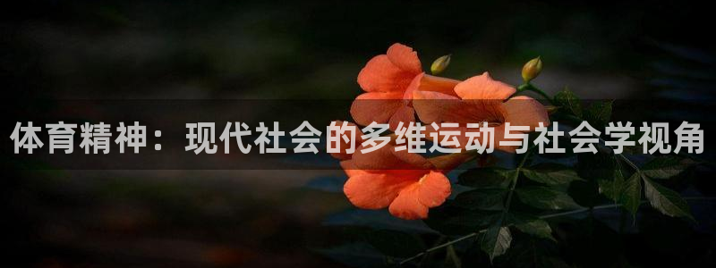 熊猫体育app官方下载最新版：体育精神：现代社会的多维运动与社会学视角