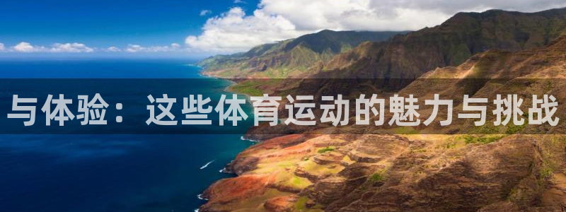 动感熊猫体育公园：与体验：这些体育运动的魅力与挑战