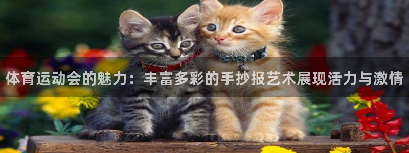 熊猫体育官网首页入口