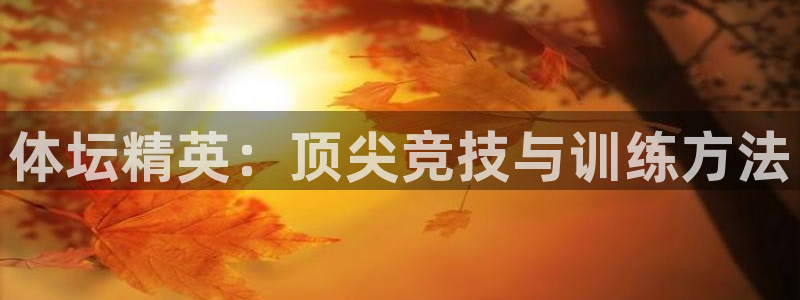 熊猫体育怎么样：体坛精英：顶尖竞技与训练方法