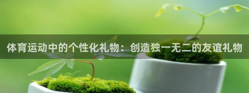 熊猫体育公园：体育运动中的个性化礼物：创造独一无二的友谊礼物