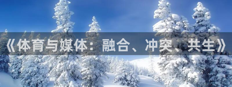 熊猫体育v3.新网页.org：《体育与媒体：融合、冲突、共生》