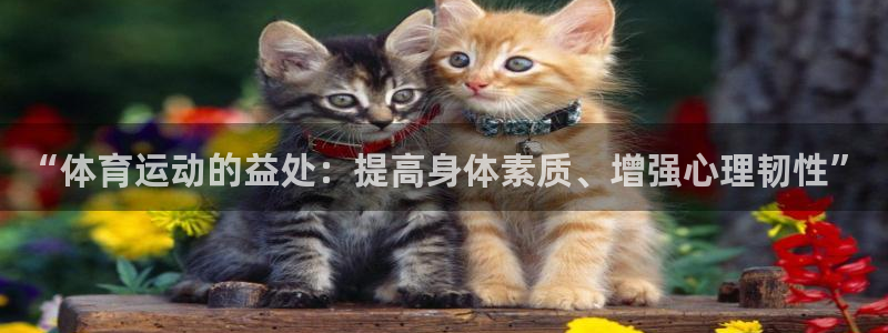 熊猫体育手机版下载：“体育运动的益处：提高身体素质、增强心理韧性”